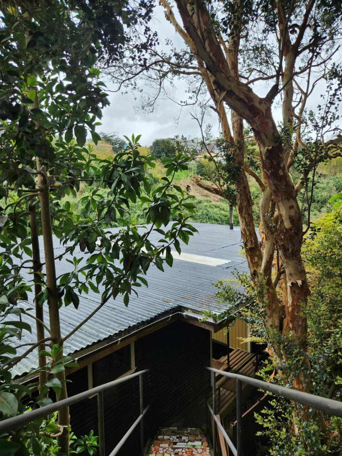 Kalas Cabanas Puerto Varas Eksteriør billede